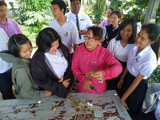 15、best365教师在泰国分院教学