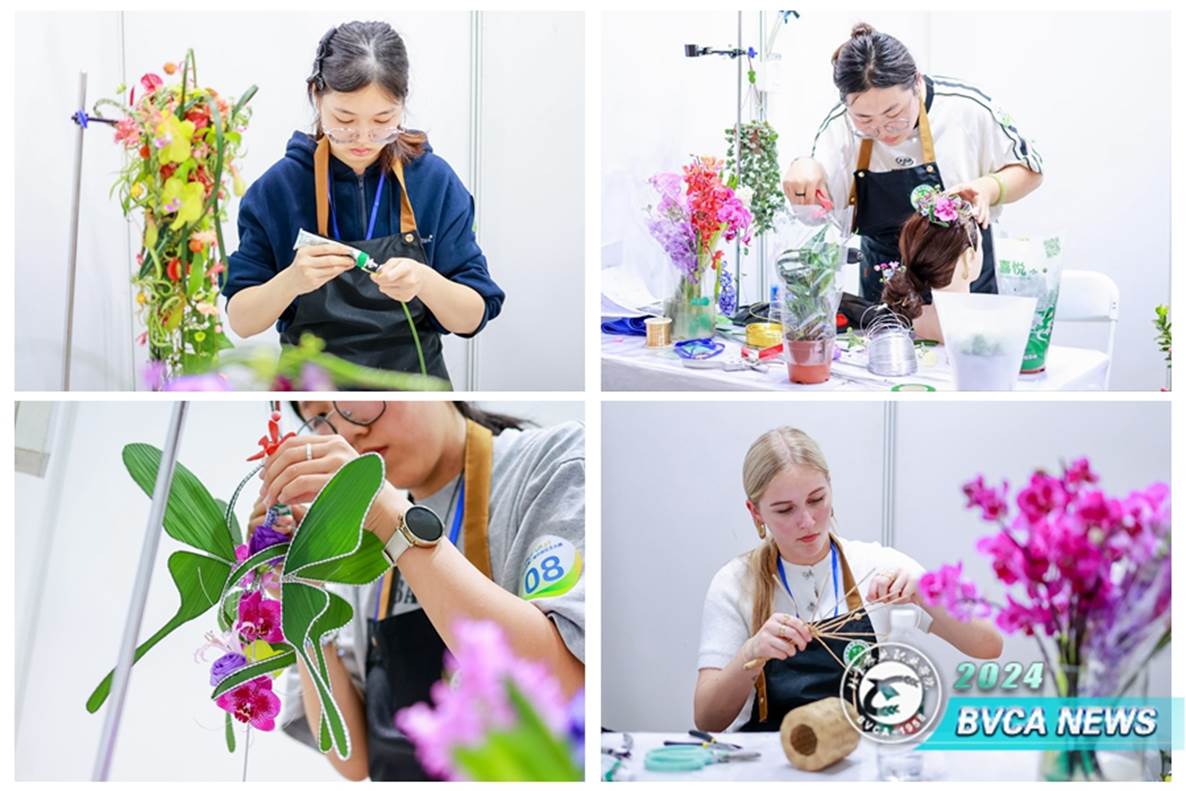 微信图片_20241015121054_副本