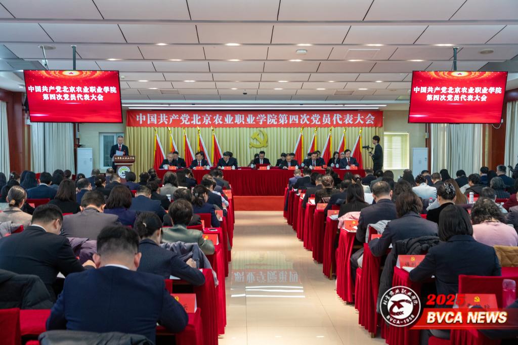 十二次掌声 十二分期待