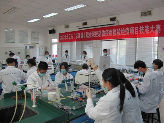 动物疫病检疫检验技能大赛