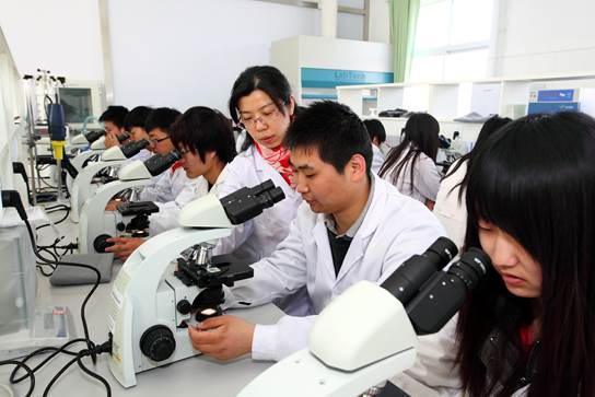 微生物检测实训室